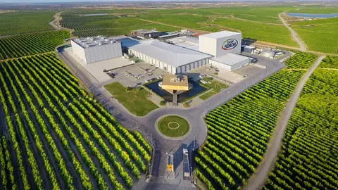 Planta de Huelva
