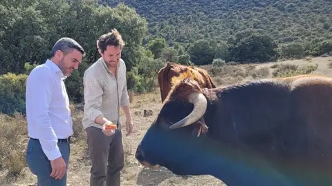 Vaca