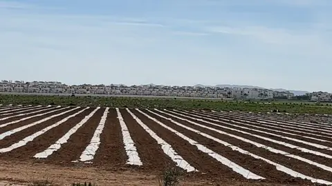 Plastico