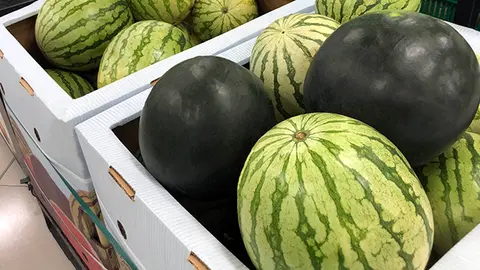 8516_210812sandia