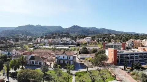 imida