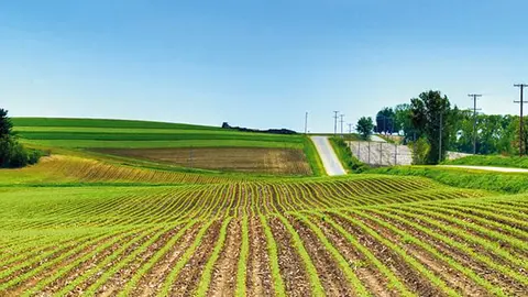5761_211227sectoragro