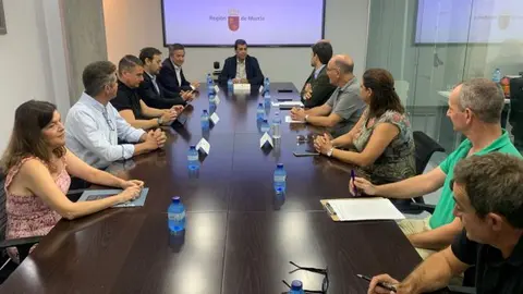 El consejero en funciones de Fomento e Infraestructuras, Jos&eacute; Ram&oacute;n D&iacute;ez de Revenga, durante la reuni&oacute;n t&eacute;cnica con los concejales y t&eacute;cnicos de los Ayuntamientos de Cartagena, Los Alc&aacute;zares, San Javier y San Pedr