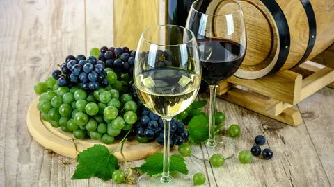 Los vinos de Murcia, entre los mejores de la industria