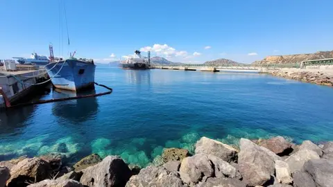 El Puerto de Cartagena ha vuelto a constatar en su informe anual una muy buena calidad de sus aguas. 