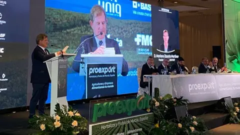 Espa&ntilde;a es el octavo productor del mundo en el mercado de la alimentaci&oacute;n saludable, con 32 millones de toneladas, de las cuales la Regi&oacute;n produce 3,5 millones, un 11% del total.