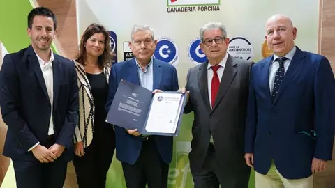 Dise&ntilde;o sin t&iacute;tulo (17)
