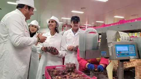 As&iacute; lo puso de manifiesto este viernes la consejera de&nbsp;Agricultura,&nbsp;Sara Rubira, durante su visita a las instalaciones del grupo Moyca en Totana. &nbsp;