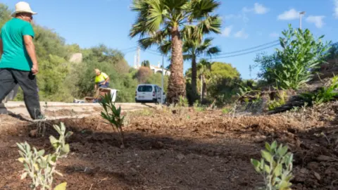 Este contrato en cuesti&oacute;n, del lote 1, est&aacute; dirigido al mantenimiento de todas las zonas verdes y arbolado del centro, barrios y las diputaciones. 