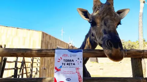 El concurso busca&nbsp;acercar a los menores la labor de conservaci&oacute;n que se realiza en los zool&oacute;gicos y centros de recuperaci&oacute;n de especies.