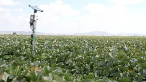 La FI asegura que el ejemplo andaluz confronta con el modelo del Mar Menor, basado en la expropiaci&oacute;n de uso y las prohibiciones, lo que supone un agravio comparativo sin precedentes.
