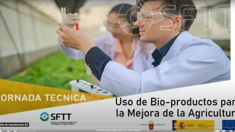 Dise&ntilde;o sin t&iacute;tulo (74)