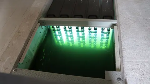 20240128Depuraci&oacute;n2