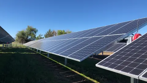 Placas Soltec.