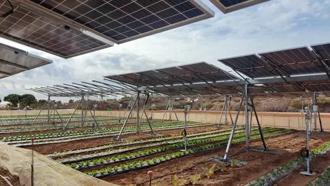20240215 Agrovoltaico