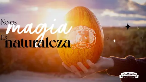 Captura de pantalla (102)