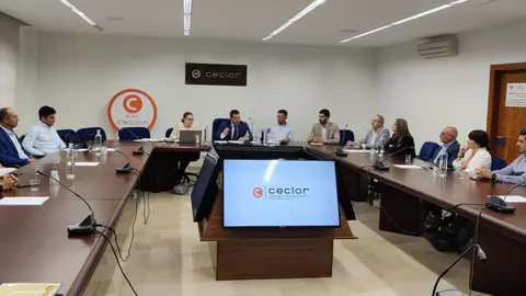 180424 CECLOR DIRECTIVA (2)