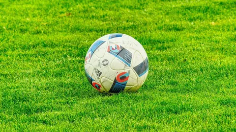 Equipos que pueden dar la sorpresa en apuestas en la Eurocopa 2024