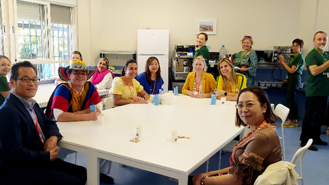 El Limonar International School Murcia celebra el D&iacute;a de la Diversidad Cultural con actividades en torno a m&aacute;s de 20 pa&iacute;ses representados