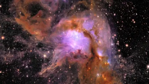 Imagen de Euclid.