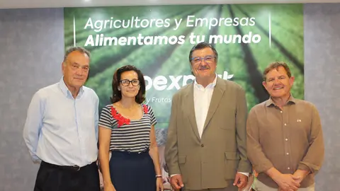 Cecilio Peregr&iacute;n fue elegido presidente de la sectorial de lechuga de la Federaci&oacute;n Espa&ntilde;ola de Asociaciones de Productores Exportadores de Frutas y Hortalizas- FEPEX.