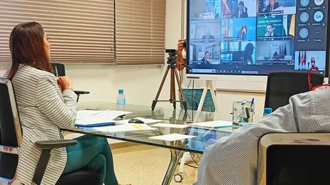 La consejera Sara Rubira durante la Conferencia Sectorial de Agricultura celebrada por videoconferencia.