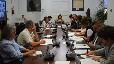 La concejal del consistorio murciano Bel&eacute;n L&oacute;pez participa en la reuni&oacute;n de la Comisi&oacute;n Nacional de Educaci&oacute;n y Universidad de la Federaci&oacute;n de Municipios.