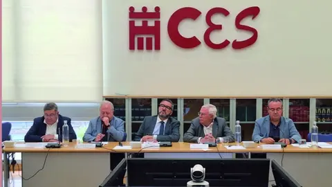 Pleno del Consejo Econ&oacute;mico y Social de la Regi&oacute;n de Murcia.