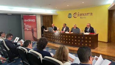 Junta General de Av&aacute;lam