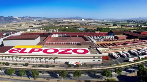 Vista a&eacute;rea de El Pozo. (Blas Mart&iacute;nez)