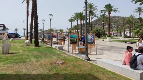 Imagen de la exposici&oacute;n 'Siete a&ntilde;os de proyectos para impulsar la sostenibilidad de la pesca y acuicultura' en Cartagena.