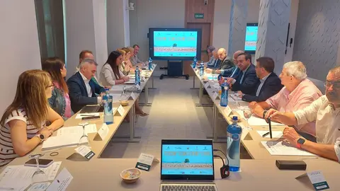 La consejera Sara Rubira durante la reuni&oacute;n mantenida en Madrid con representantes de las comunidades de Andaluc&iacute;a, Castilla-La Mancha, La Rioja y la Comunidad Valenciana, y con los l&iacute;deres nacionales de las organizaciones profesionales agrarias y las cooperativas agroalimentarias de Espa&ntilde;a.