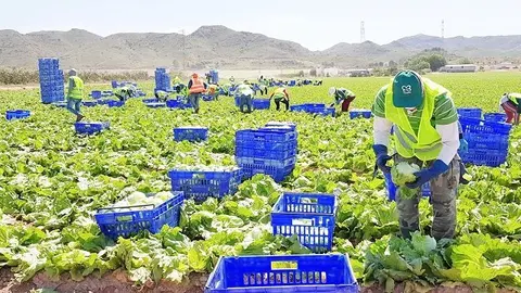 Imagen del sector agroalimentario. (Archivo)