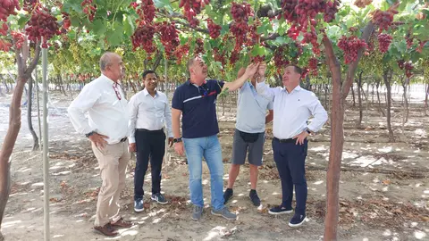 El director del IMIDA, Andr&eacute;s Mart&iacute;nez, y el secretario general de la Consejer&iacute;a de Agricultura, Francisco Gonz&aacute;lez,  muestran a importadores internacionales las nuevas variedades de uva de mesa.