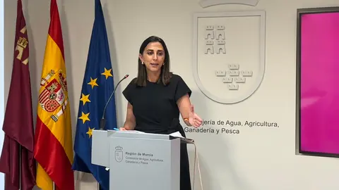 Imagen de la consejera Sara Rubira en la rueda de prensa previa a la celebraci&oacute;n de la Conferencia Sectorial.