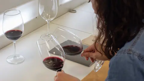 Imagen de la 'Vendimia Abierta' de Bodegas Luz&oacute;n.