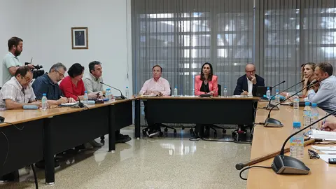 La consejera Sara Rubira en la reuni&oacute;n de la Mesa del Secano.
