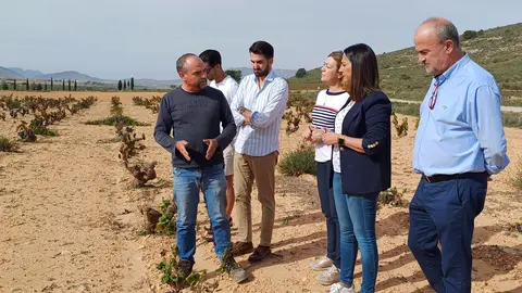La consejera Sara Rubira visita un cultivo de vi&ntilde;edo en Jumilla.
