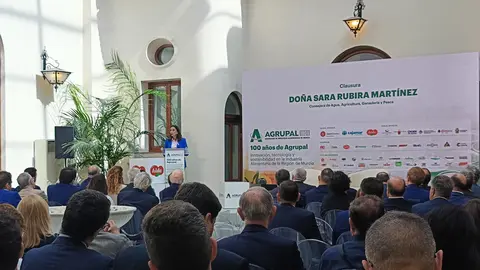 Imagen de la intervenci&oacute;n de Sara Rubira.