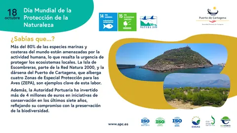 Cartel del D&iacute;a Mundial de la Protecci&oacute;n de la Naturaleza.