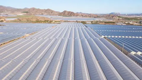 Ejemplo de innovaci&oacute;n y agricultura sostenible. (Fidedigno)
