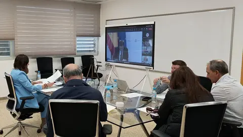 La  consejera Sara Rubira durante la reuni&oacute;n realizada por videoconferencia.