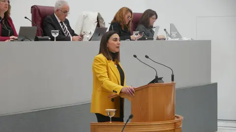 La consejera Sara Rubira durante la comparecencia en la Asamblea Regional para informar de la situaci&oacute;n del Trasvase Tajo-Segura. (CARM)
