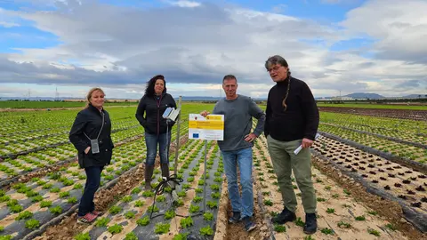 Fotograf&iacute;a de ensayos del proyecto Nitrosfera en la finca de Agromediterr&aacute;nea. (Proexport)