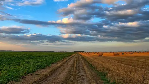 Fotograf&iacute;a de un campo. (Imagen de Wolfgang Borchers en Pixabay)