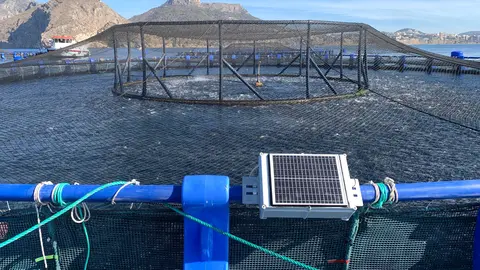 Tecnolog&iacute;a SICA implementada en viveros de acuicultura. (CTN)