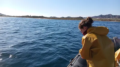 (Eurofins Environment Testing Spain)