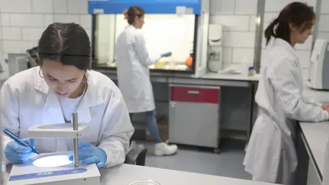 Las doctorandas de la UPCT Natalia Rodr&iacute;guez y Elisa Orcajada, junto a Laura Casas, realizando ensayos en el laboratorio. (UPCT)