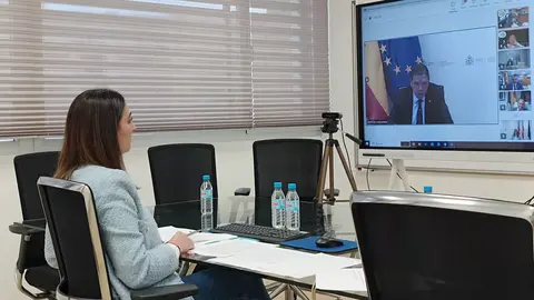 La consejera Sara Rubira participando de forma telem&aacute;tica en la Conferencia Sectorial de Agricultura y Desarrollo Rural y en el Consejo Consultivo de Pol&iacute;tica Agr&iacute;cola para Asuntos Comunitarios. (CARM)