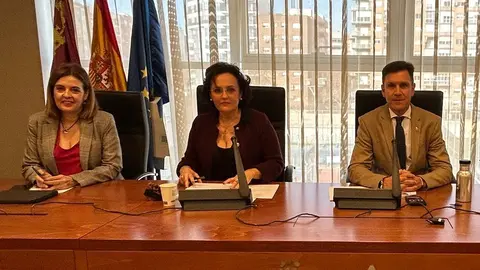 Comisi&oacute;n de Estudio sobre el Peque&ntilde;o Comercio en la Regi&oacute;n de Murcia, celebrada en la Asamblea Regional. (Grupo Parlamentario Popular de la Asamblea Regional de Murcia/Twitter)